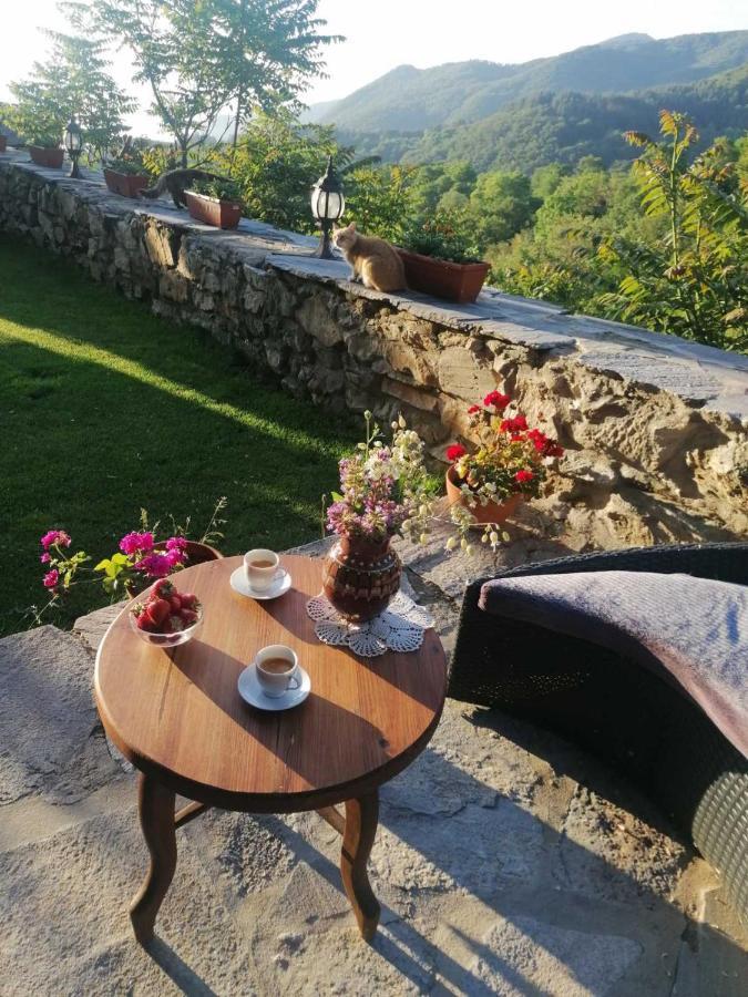 Yancheva Guest House Delchevo Exterior photo
